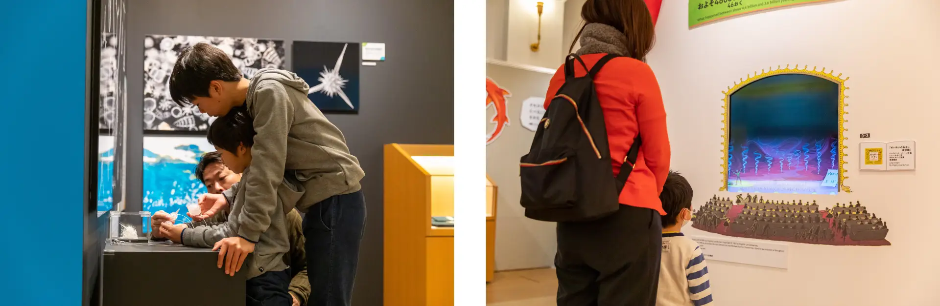 株式会社フジヤ　国立科学博物館　企画展「絵本でめぐる生命の旅」画像
