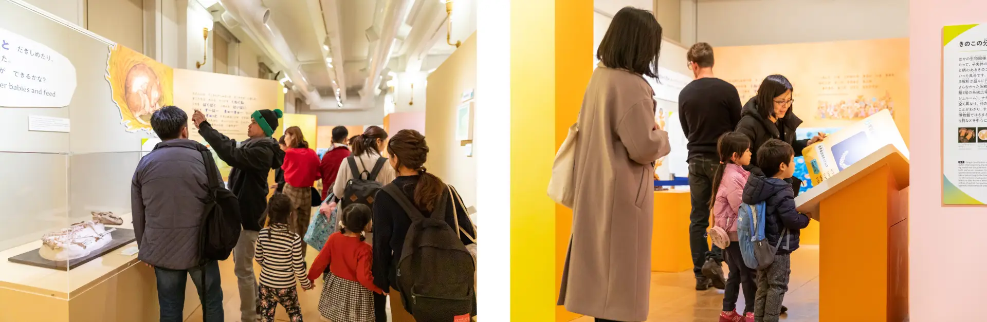 株式会社フジヤ　国立科学博物館　企画展「絵本でめぐる生命の旅」画像