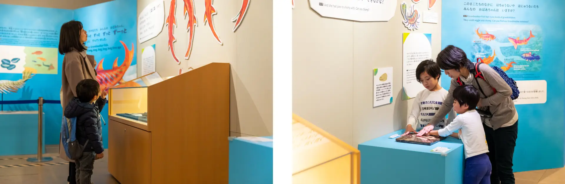 株式会社フジヤ　国立科学博物館　企画展「絵本でめぐる生命の旅」画像